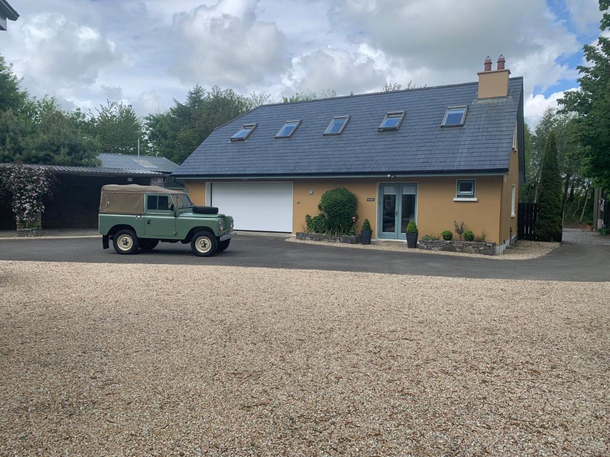 The Mews Villa Newbridge  Kültér fotó